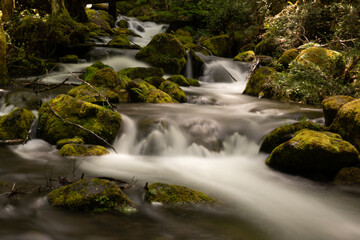 waterfall in the forest