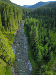 Fototapeta premium Aerial drone vertical panorama above Lotru river flowing through a coniferous forest. Sunset time, the massif crests and peaks of Parang Mountains are covered in shade. Carpathia, Romania.