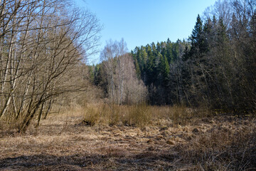 summer countryside fields and forests with blu sky above