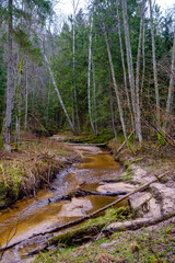 calm forest smal lriver with small waterfall from natural rocks