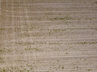 Aerial view of an agricultural field with grain planted in spring in Bavaria