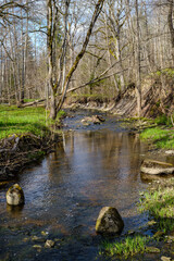 calm forest smal lriver with small waterfall from natural rocks