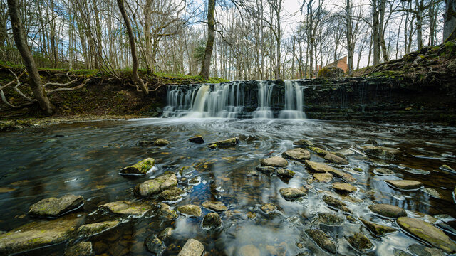 calm forest smal lriver with small waterfall from natural rocks