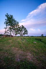 summer countryside fields and forests with blu sky above