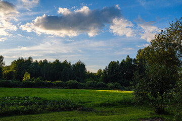 Fototapeta na wymiar summer countryside fields and forests with blu sky above