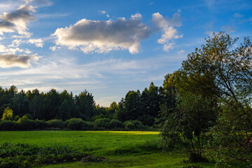 summer countryside fields and forests with blu sky above