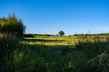 Fototapeta premium summer countryside fields and forests with blu sky above