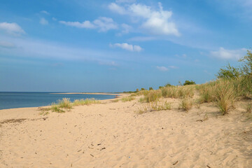 A panoramic view on the sandy beach by Baltic Sea on Sobieszewo island, Poland. The beach is scarcely overgrown with high grass. The sea is gently waving. A bit of overcast. Serenity and calmness