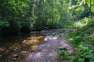 calm forest smal lriver with small waterfall from natural rocks