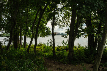 Obraz premium abstract tree trunk wall near open field