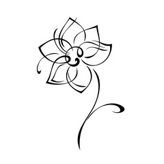 ornament 1795. one stylized blooming flower on a short stalk without leaves in black lines on a white background