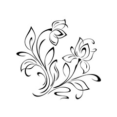 ornament 1796. two stylized flower buds on curved stems with leaves and curls in black lines on a white background