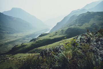 Fototapeta premium Scenic alpine landscape with small yellow flowers and green grasses on rocks on background of mountain river in blur. Beautiful mountain scenery with wild flora on rocks and mountains silhouettes.