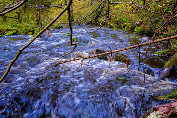 calm forest smal lriver with small waterfall from natural rocks