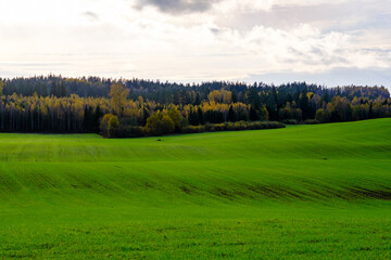 summer countryside fields and forests with blu sky above