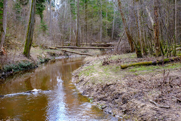 calm forest smal lriver with small waterfall from natural rocks