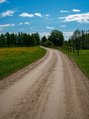 dusty gravel road in summer green fresh wet forest