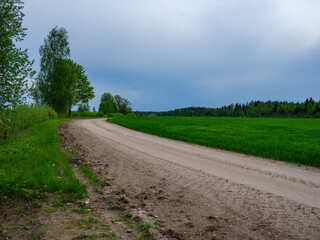 dusty gravel road in summer green fresh wet forest