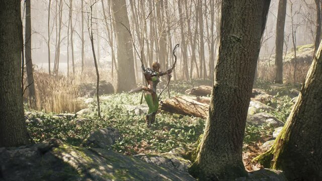 Warrior girl aims her bow at a creepy, formidable orc in the summer forest. Fantasy medieval concept. The animation is for historical, medieval or fantasy backgrounds.