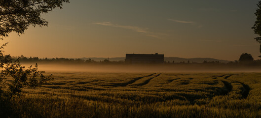 Fototapeta na wymiar Fields near Budweis city with sunrise and color fresh fields
