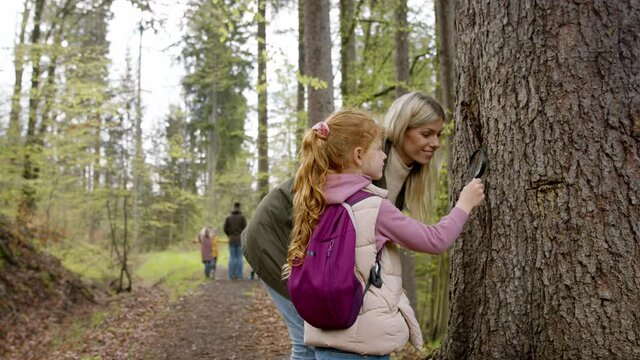 Small girl with teacher examining tree with magnifying glass in nature, learning group education concept.