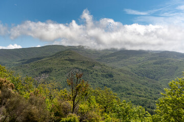 Naklejka premium Foresta Deiva - Forte Lodrino (Giovo Ligure), Savona.