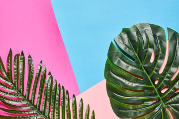 Exotic tropical leaves on colorful background. Summer background. Creative summer backdrop with...
