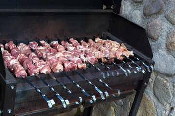 Raw Grilled meat on grill.