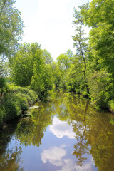 View on natural river Niers with dense vegetation and reflection of trees and clouds in water - Viersen (Suchteln), Germany (lower rhine)