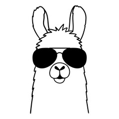 Cute llama with sunglasses.  Vector illustration isolated on white background. © Irina Ostapenko