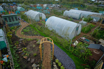 A typical British allotment garden in Eastbourne, East Sussex. A community garden for individuals or groups to grow food or flowers. 
