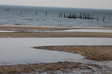 Low Tide at Chesapeake Bay (Sand, Pelicans, Pilings)