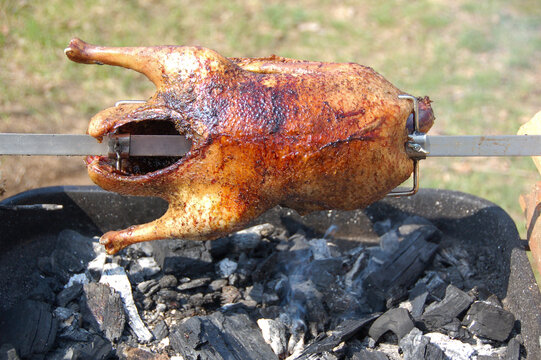 Appetizing Grilled Duck On The Spit Skewer. Roasted On Traditional Barbecue. Whole Carcass Duck Roasting Over Hot Coals.