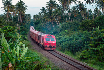 Train in motion in jungle