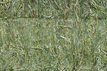 Green, baled hay background.