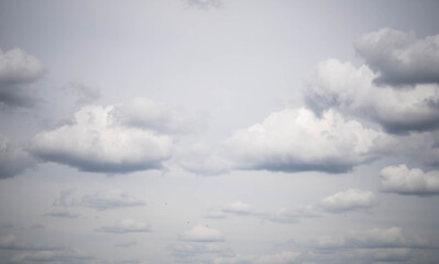 incredible cloudy sky in the clouds, incredible wildlife