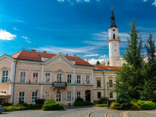 Obraz premium Fire-watch Tower in the old town of Veszprem