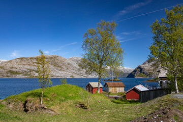 Fototapeta na wymiar Out on a trip in summer weather to the Velfjord,Helgeland,Nordland county,Norway,scandinavia,Europe
