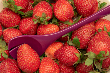 delicious strawberries