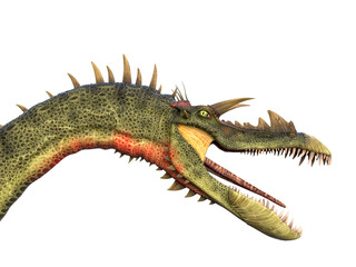 snouted dragon is looking to you