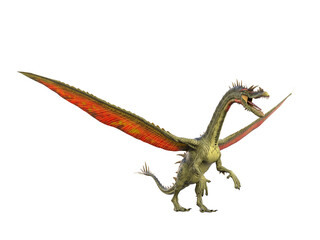 Fototapeta premium snouted dragon is standing up