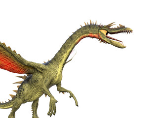 Fototapeta premium snouted dragon side view