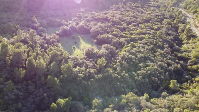 Panorama - Mountain of Jabel Sarej