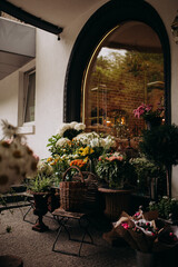 flowers in a garden