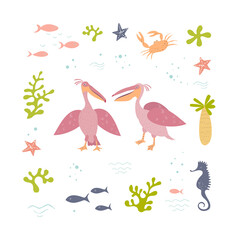 Vector set of two pink pelicans and sea items. Pelicans in a marine frame. Hand drawn illusatration.
