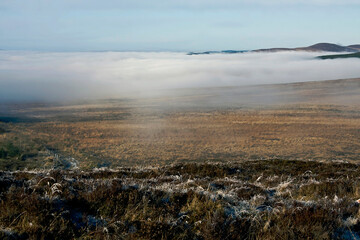 Fototapeta na wymiar Dense fog raising above mountain slope