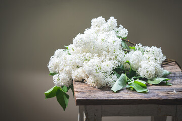 White Lilac flowers bouquet against dark wooden background