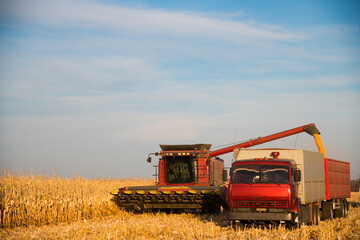 Harvesting with the help of agricultural machinery