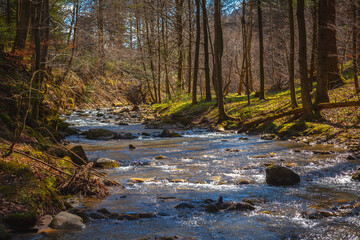 Obraz premium Beautiful river in spring forest, Bieszczady mountains, Poland