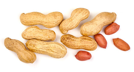Dried peanut, isolated on white background. High resolution image.